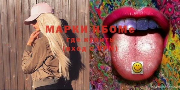 индика Алексин