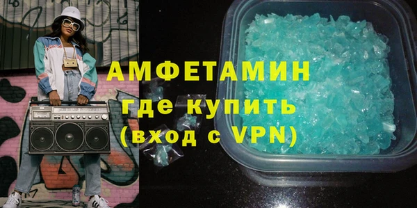 индика Алексин